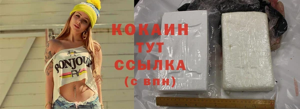 COCAINE Богородицк